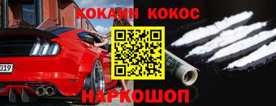 стафф Кингисепп