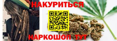 стафф Кингисепп