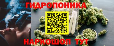 стафф Кингисепп