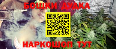 стафф Кингисепп