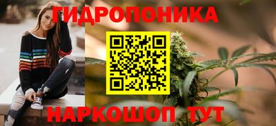 стафф Кингисепп
