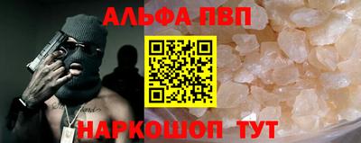 стафф Кингисепп