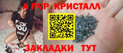 стафф Кингисепп