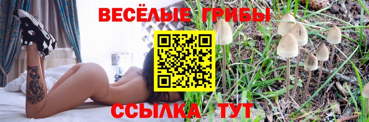 как найти наркотики  Вход с VPN  Тула  Псилоцибиновые грибы MAGIC MUSHROOMS 